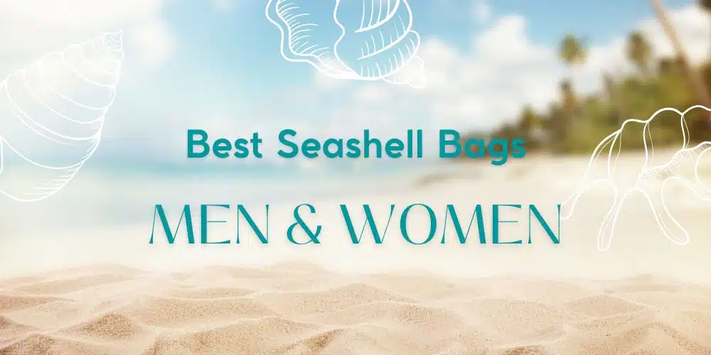 Best SeaShell Bags for women men and family