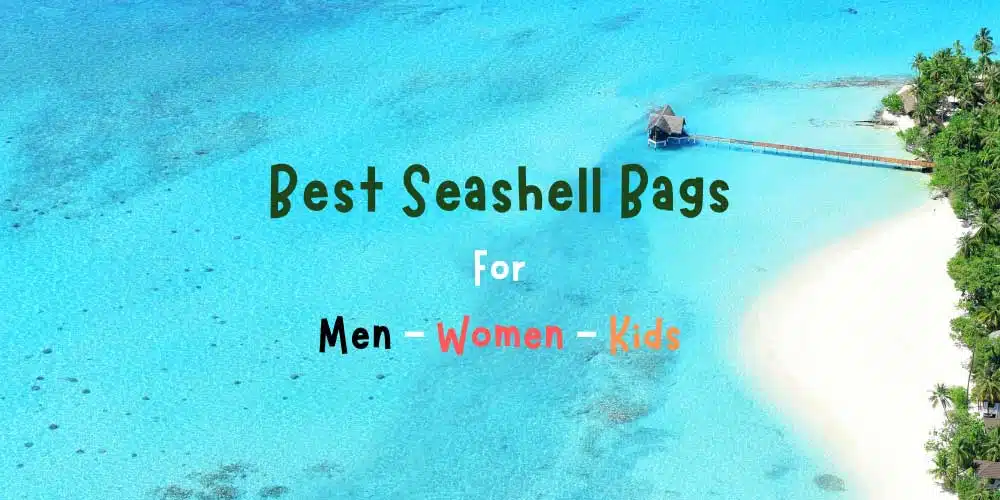 Best Seashell bags for men women kids