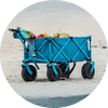 Beach Wagon logo