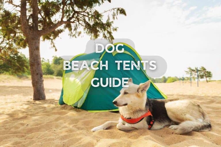 Dog Beach Tents Ultimate Guide + top 3 Picks of 2024
