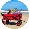 Beach Wagon for Soft Sand icon